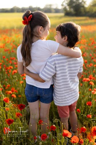 coquelicot fratrie