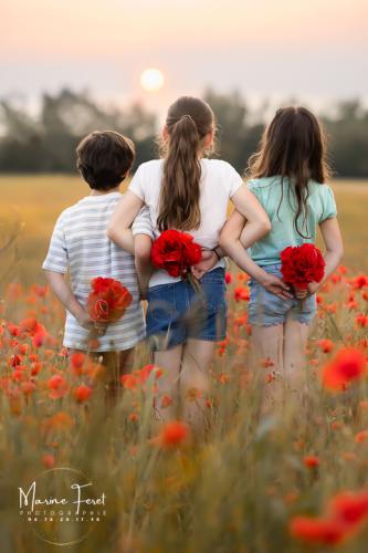 coquelicot fratrie